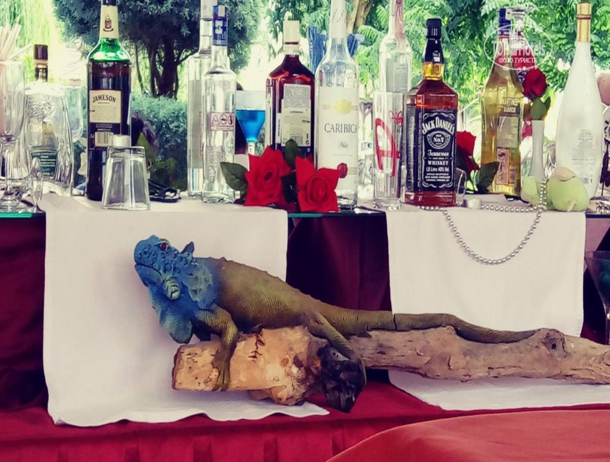 Golden Sunset Hotel&Spa Kemer Exterior photo Blue iguana at the bar